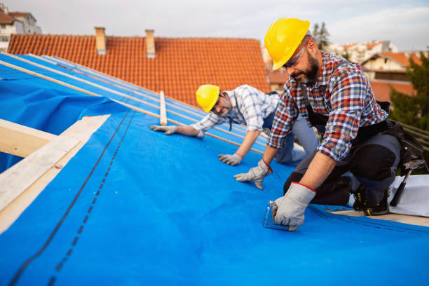 Best Commercial Roofing Services  in St Joseph, MO